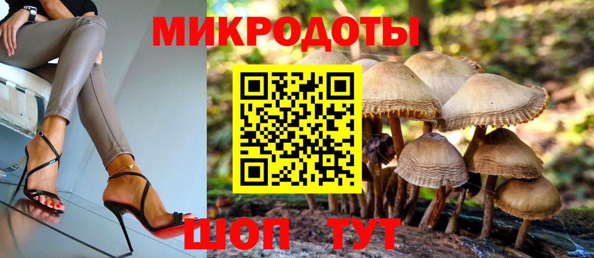 Псилоцибиновые грибы GOLDEN TEACHER Златоуст