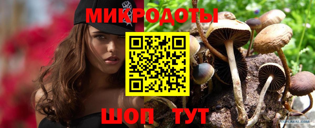 Златоуст  где найти   Вход с VPN  Псилоцибиновые грибы мухоморы 